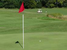 Golf ball and hole flag.