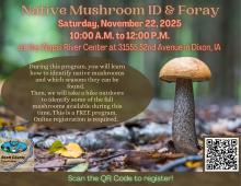 Flyer advertising the event.