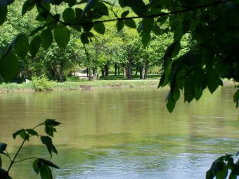 The Wapsipinicon River seen through tree branches.