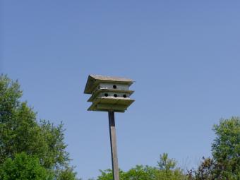 A birdhouse apartment at Wapsi Center.