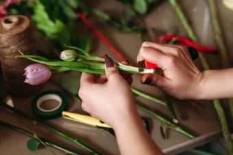 person cutting flowers