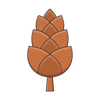 image of a pine cone