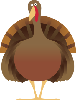 cartoon turkey
