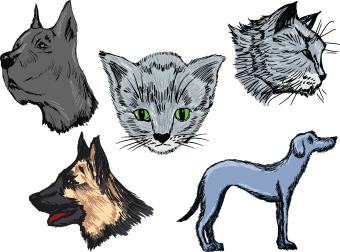 illustration of 5 animals, 3 cats and 2 dogs