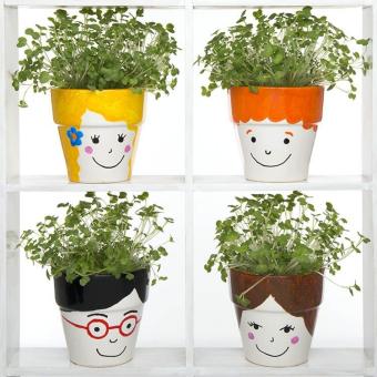 Four flower pots decorated with faces. Cress grows like hair.