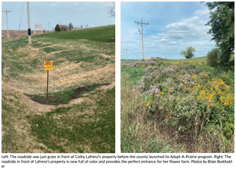Left: The roadside was just grass in front of Cathy Lafrenz’s property before the county launched its Adapt-A-Prairie program. R