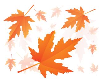 Image of Red Autumnal Falling Maple Leaves