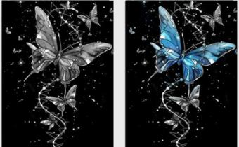 side by side of same butterfly, one in grey, the other in blue