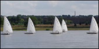 Several sail boats on the river.