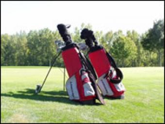 A pair of golf club bags sitting on the greens.