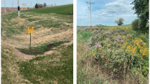 Left: The roadside was just grass in front of Cathy Lafrenz’s property before the county launched its Adapt-A-Prairie program. R