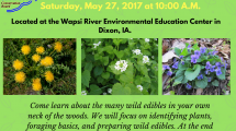 Wild Edible plants workshop at Wapsi River center flyer